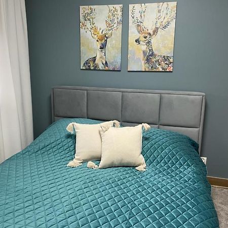 Apartament Sosnowy Zakatek غليفيتسه المظهر الخارجي الصورة