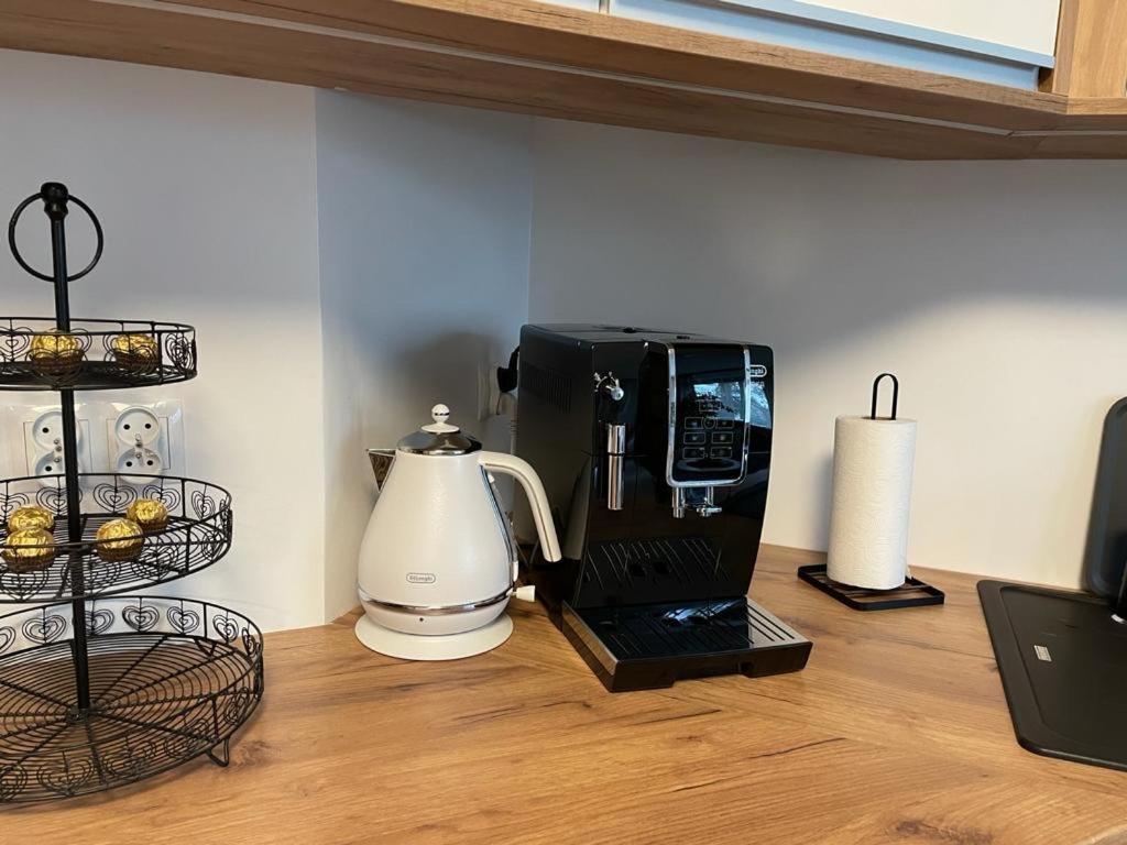 Apartament Sosnowy Zakatek غليفيتسه المظهر الخارجي الصورة