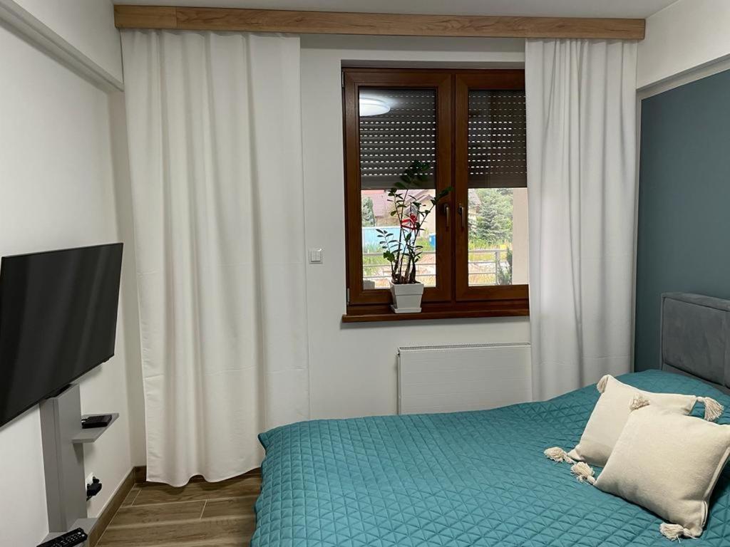 Apartament Sosnowy Zakatek غليفيتسه المظهر الخارجي الصورة