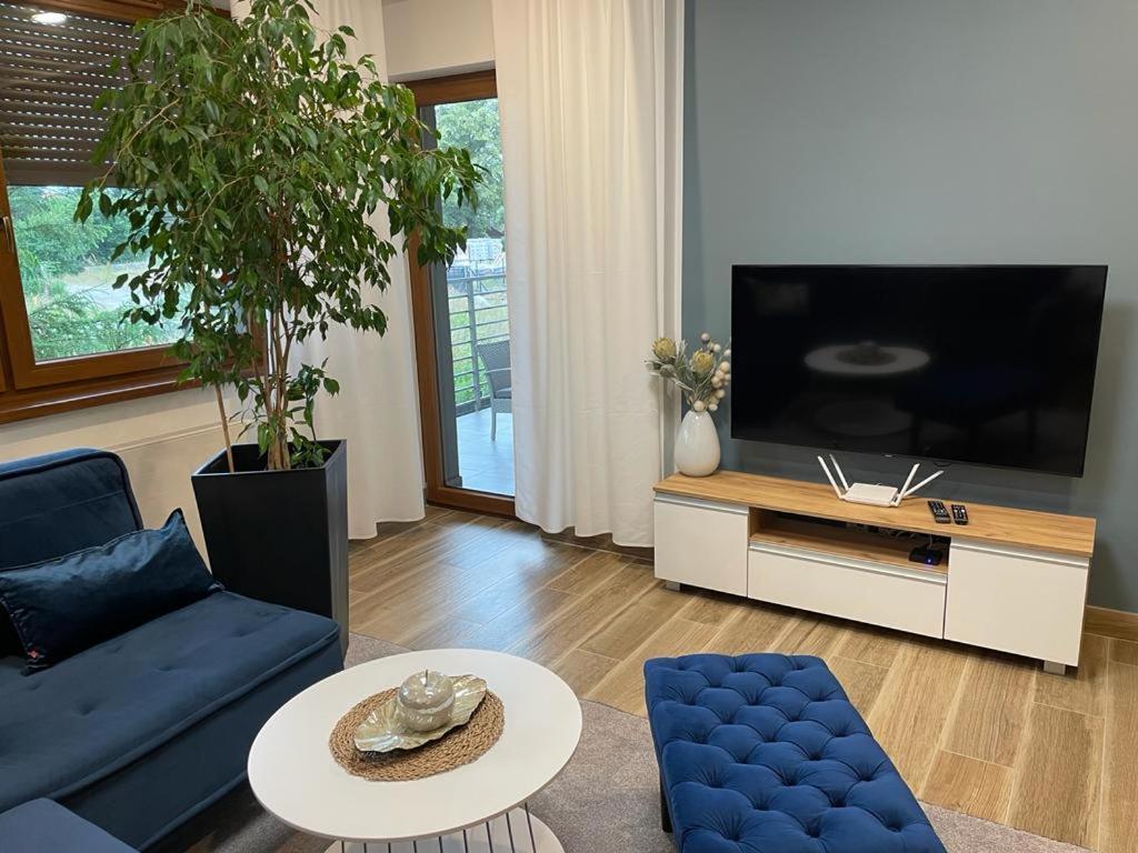 Apartament Sosnowy Zakatek غليفيتسه المظهر الخارجي الصورة