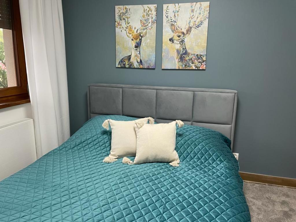 Apartament Sosnowy Zakatek غليفيتسه المظهر الخارجي الصورة